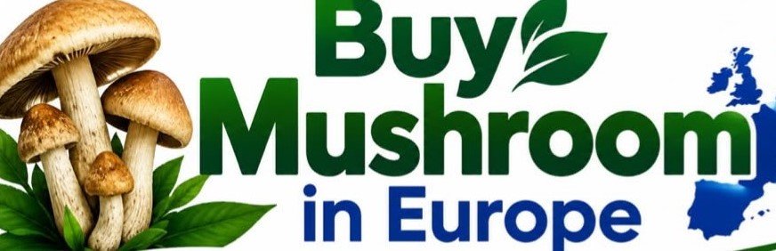 buymushroomineurope.com